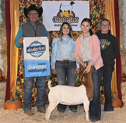 HJ Showstock Winners